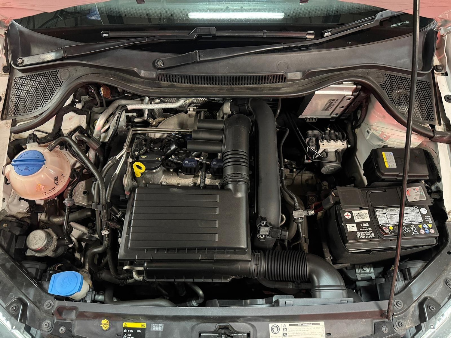 Used Volkswagen Polo for sale - 76620333: Photo 34