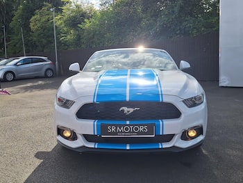 Used Ford Mustang 2016 for sale - 79795624: Photo