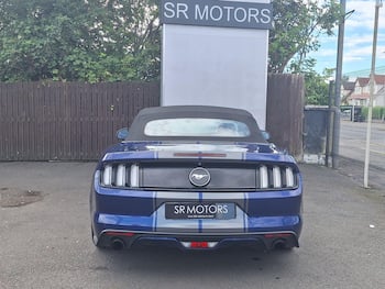 Used Ford Mustang 2016 for sale - 79795597: Photo