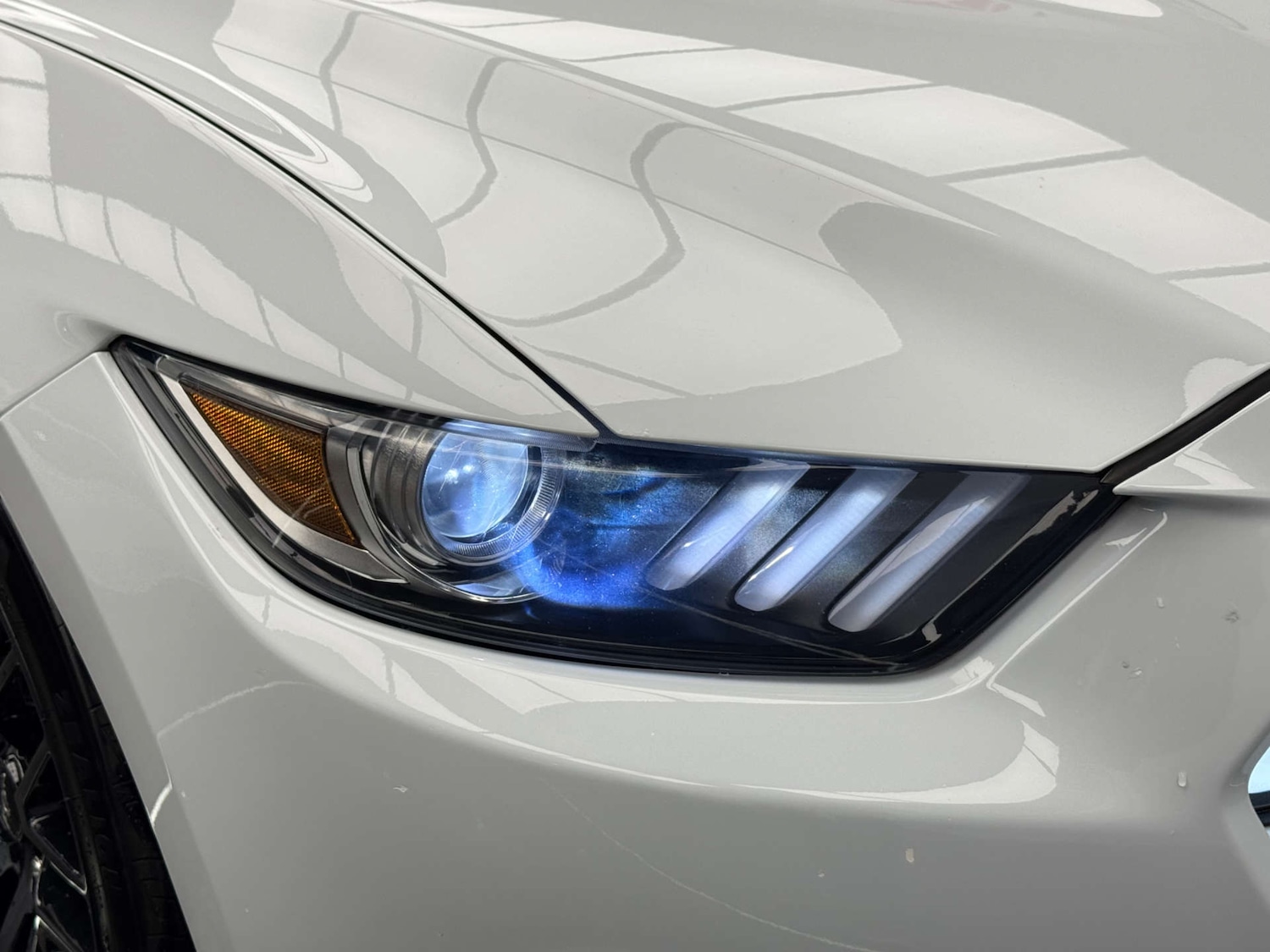 Used Ford Mustang 2016 for sale - 76600954: Photo 34