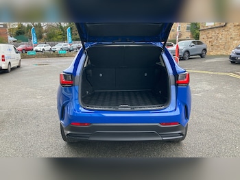 Used Lexus NX 2023 for sale - 76492102: Photo