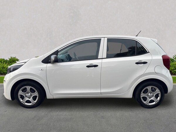 Used Kia Picanto 2023 for sale - 76237044: Photo 19