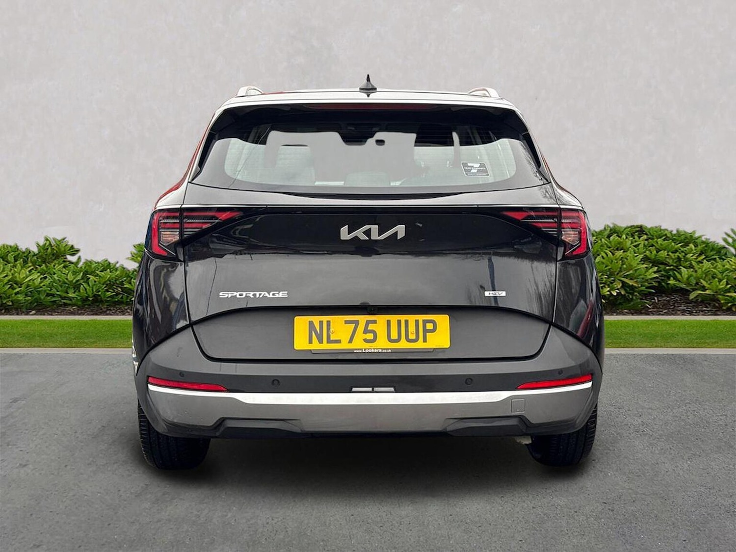 Used Kia Sportage 2025 for sale - 77001861: Photo 4