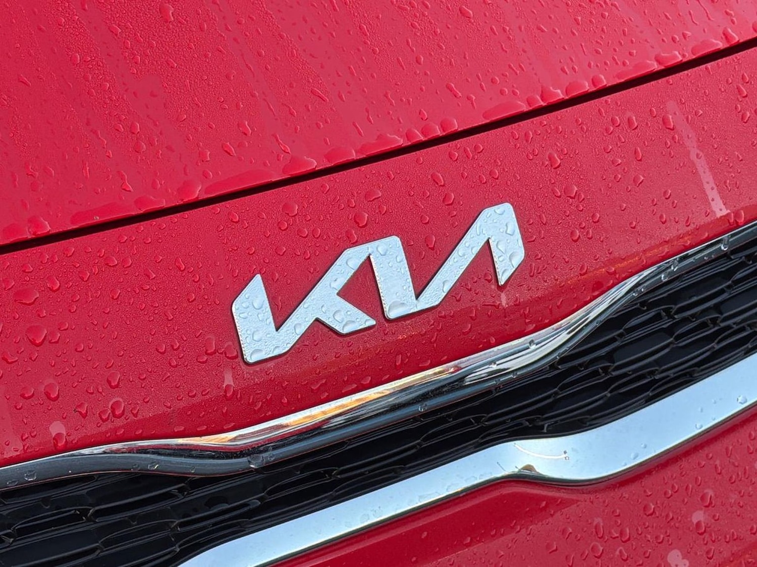 Used Kia Picanto 2023 for sale - 76859244: Photo 28