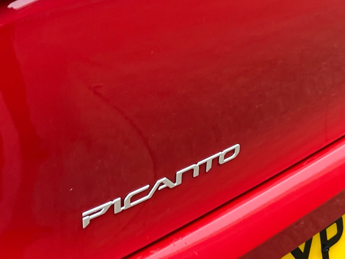 Used Kia Picanto 2025 for sale - 77051686: Photo 33