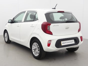 Used Kia Picanto 2024 for sale - 78858024: Photo