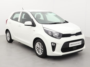 Used Kia Picanto 2023 for sale - 77934528: Photo