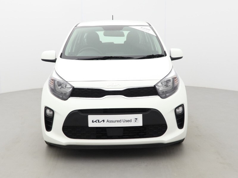 Used Kia Picanto 2024 for sale - 78199111: Photo 9