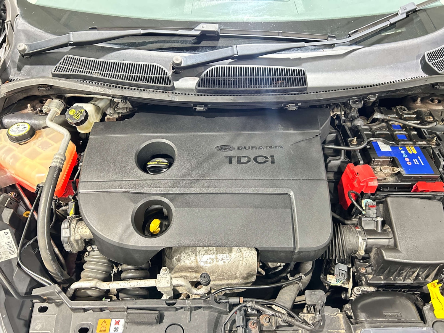 Used Ford Fiesta 2011 for sale - 77409769: Photo 55