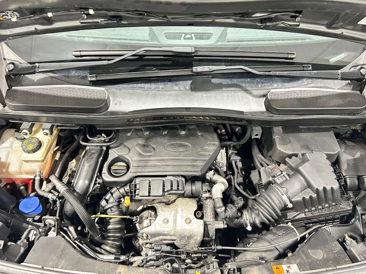 Used Ford Transit Connect 2019 for sale - 77535160: Photo 59