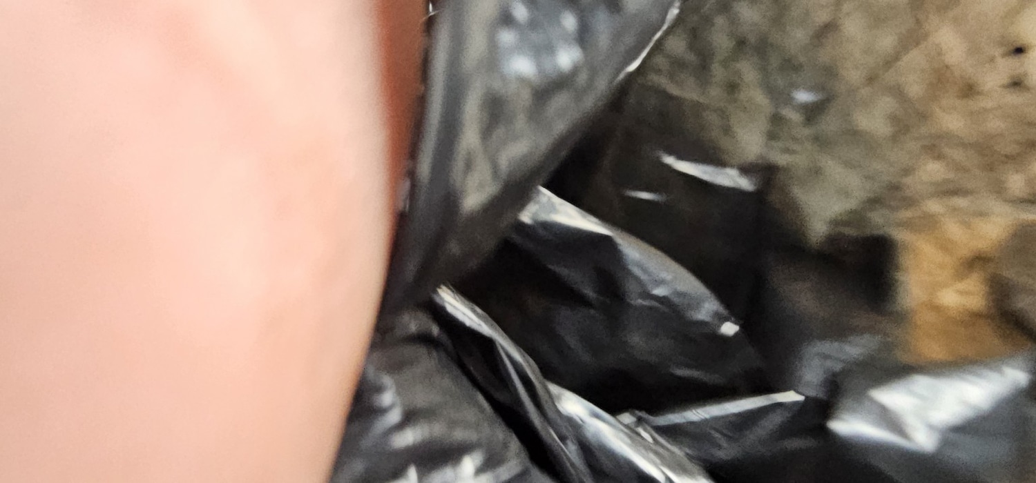 Used Volkswagen Golf 2001 for sale - 76769500: Photo 12