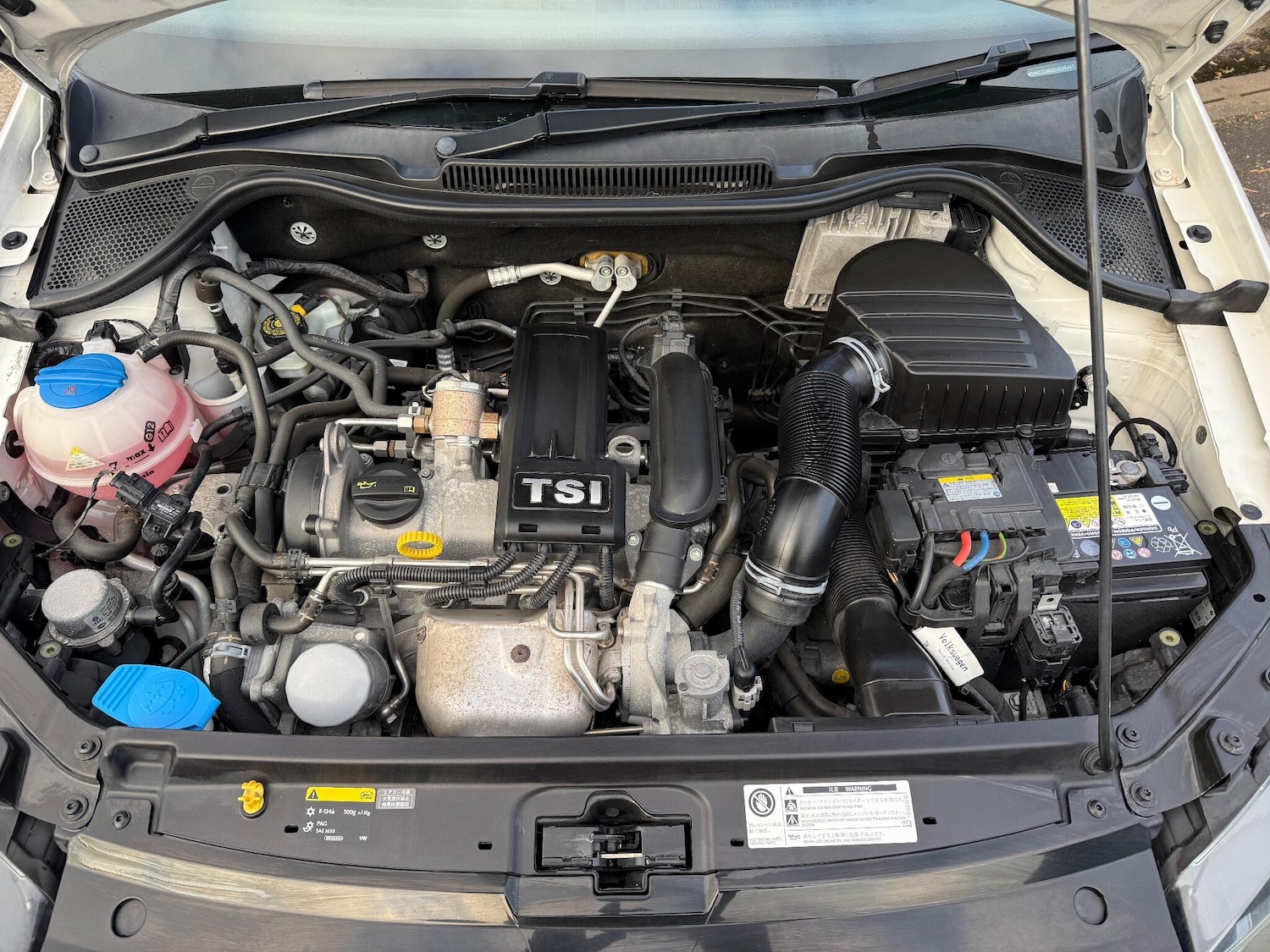 Used Volkswagen Polo 2025 for sale - 76227683: Photo 63