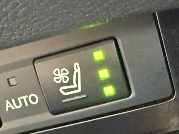 Used Lexus ES 2020 for sale - 75552975: Photo 15