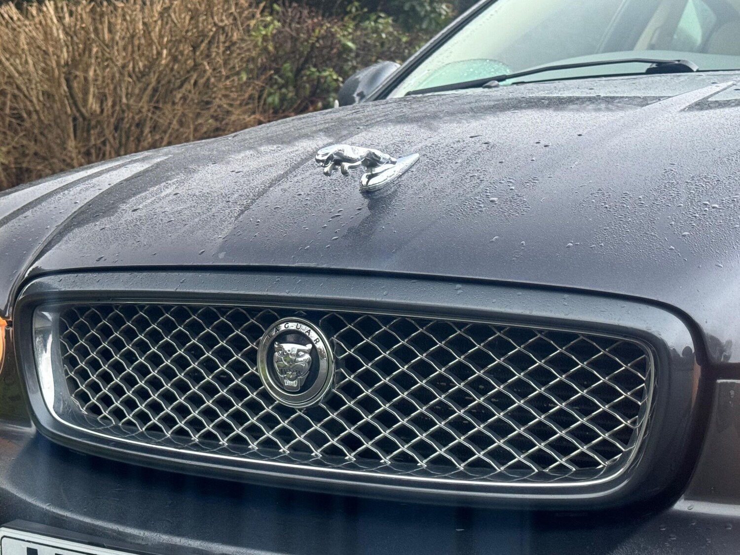 Used Jaguar X-Type for sale - 77484047: Photo 11