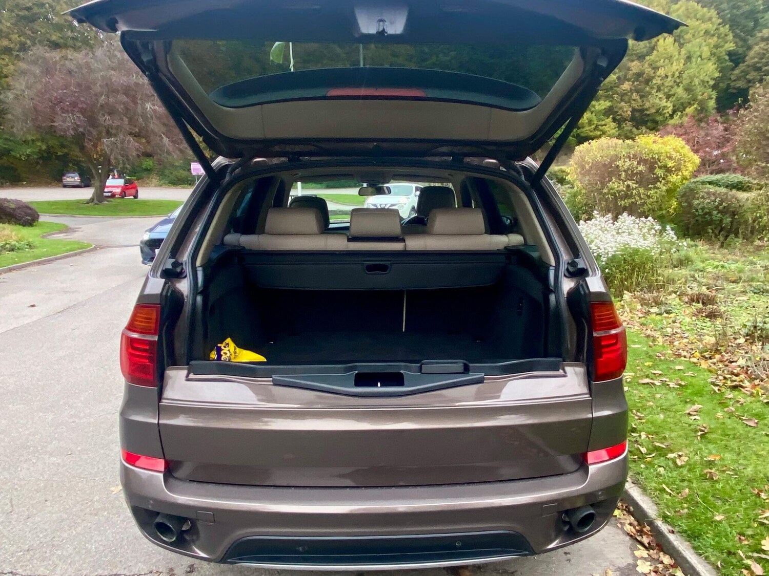 Used BMW X5 for sale - 77524741: Photo 9