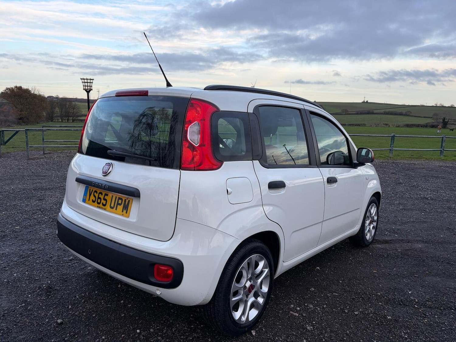 Used Fiat Panda 2015 for sale - 77465105: Photo 3