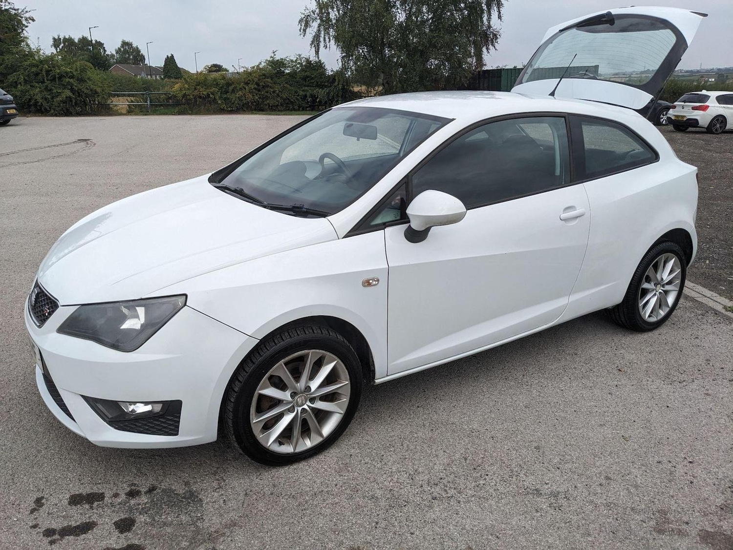 Used SEAT Ibiza 2013 for sale - 76793200: Photo 1