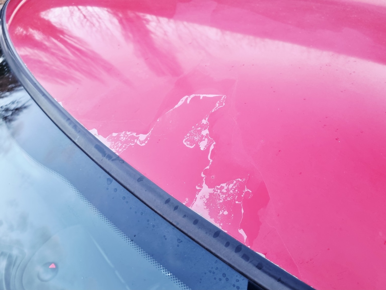 Used MINI Hatch 2010 for sale - 76791533: Photo 38