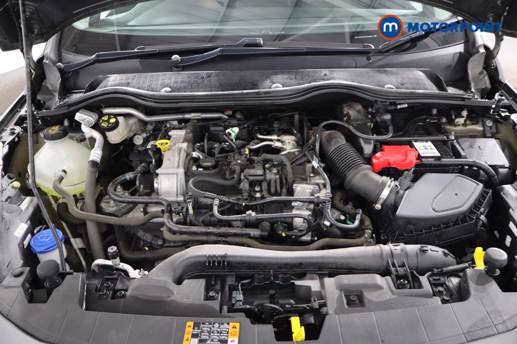 Used Ford Fiesta 2024 for sale - 78078424: Photo 41