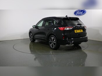 Used Ford Kuga 2020 for sale - 77841525: Photo