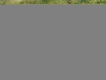2010 (10) - 1.0 12V Urban Lite Hatchback 3dr Petrol Manual Euro 4 (68 ps)