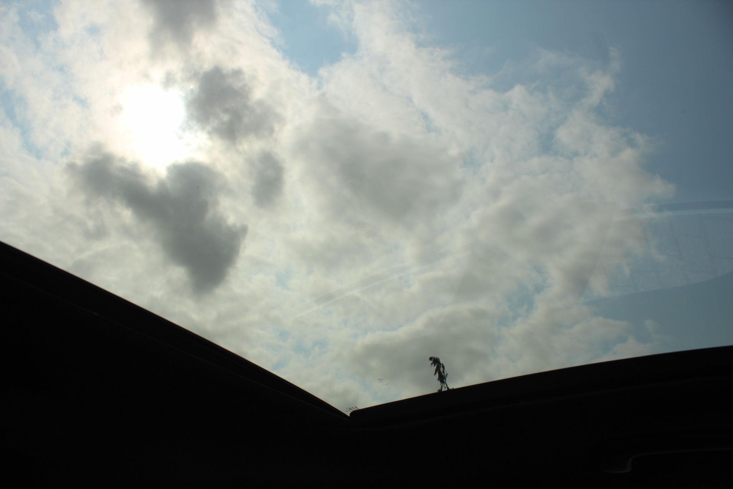 Used Kia Stinger 2019 for sale - 76002534: Photo 31