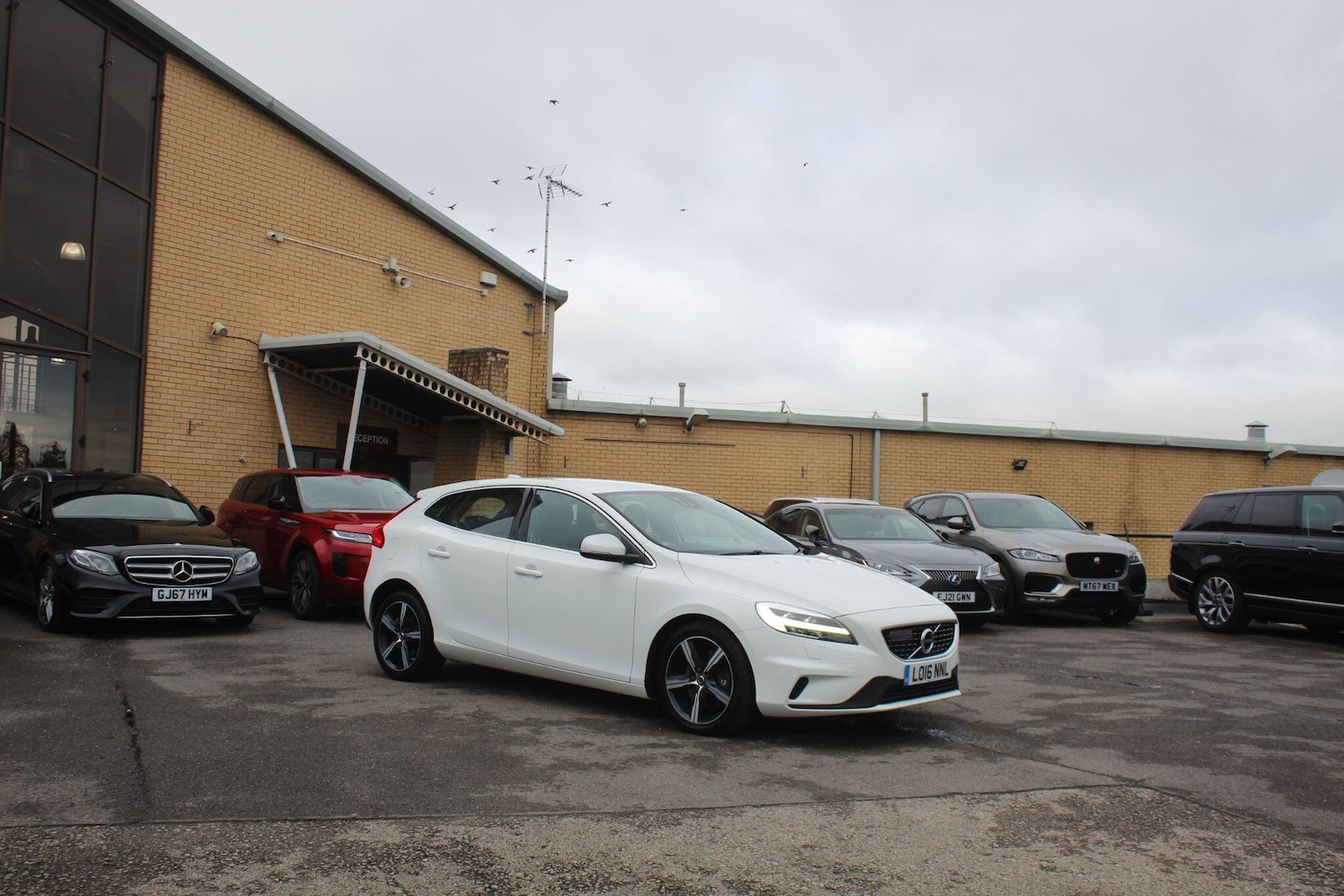 Used Volvo V40 2016 for sale - 76701597: Photo 2