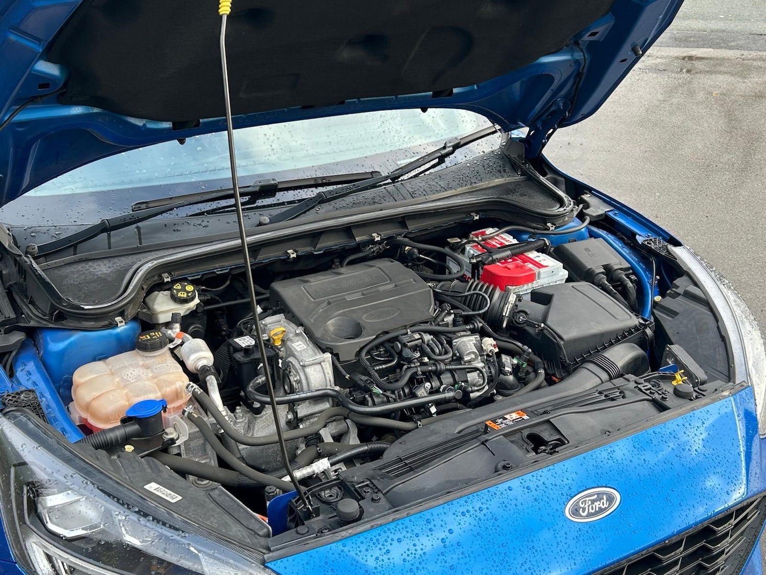 Used Ford Focus 2019 for sale - 77633385: Photo 30