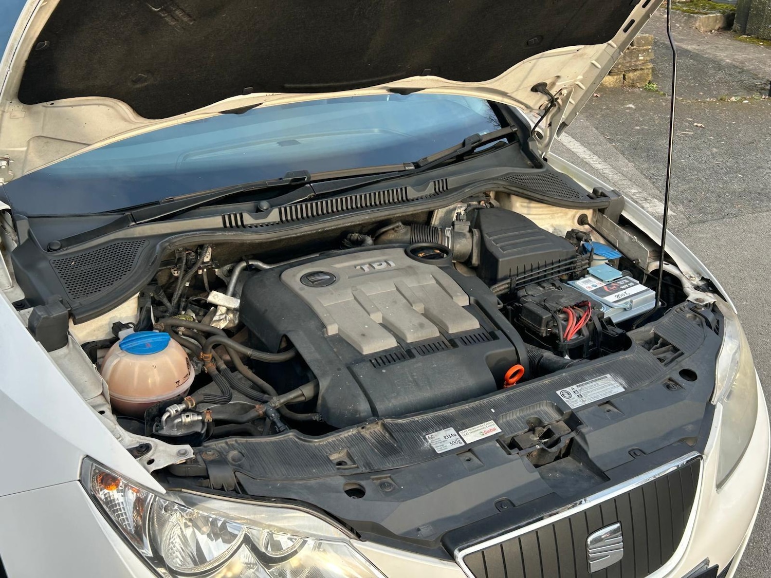 Used SEAT Ibiza 2011 for sale - 77783478: Photo 23