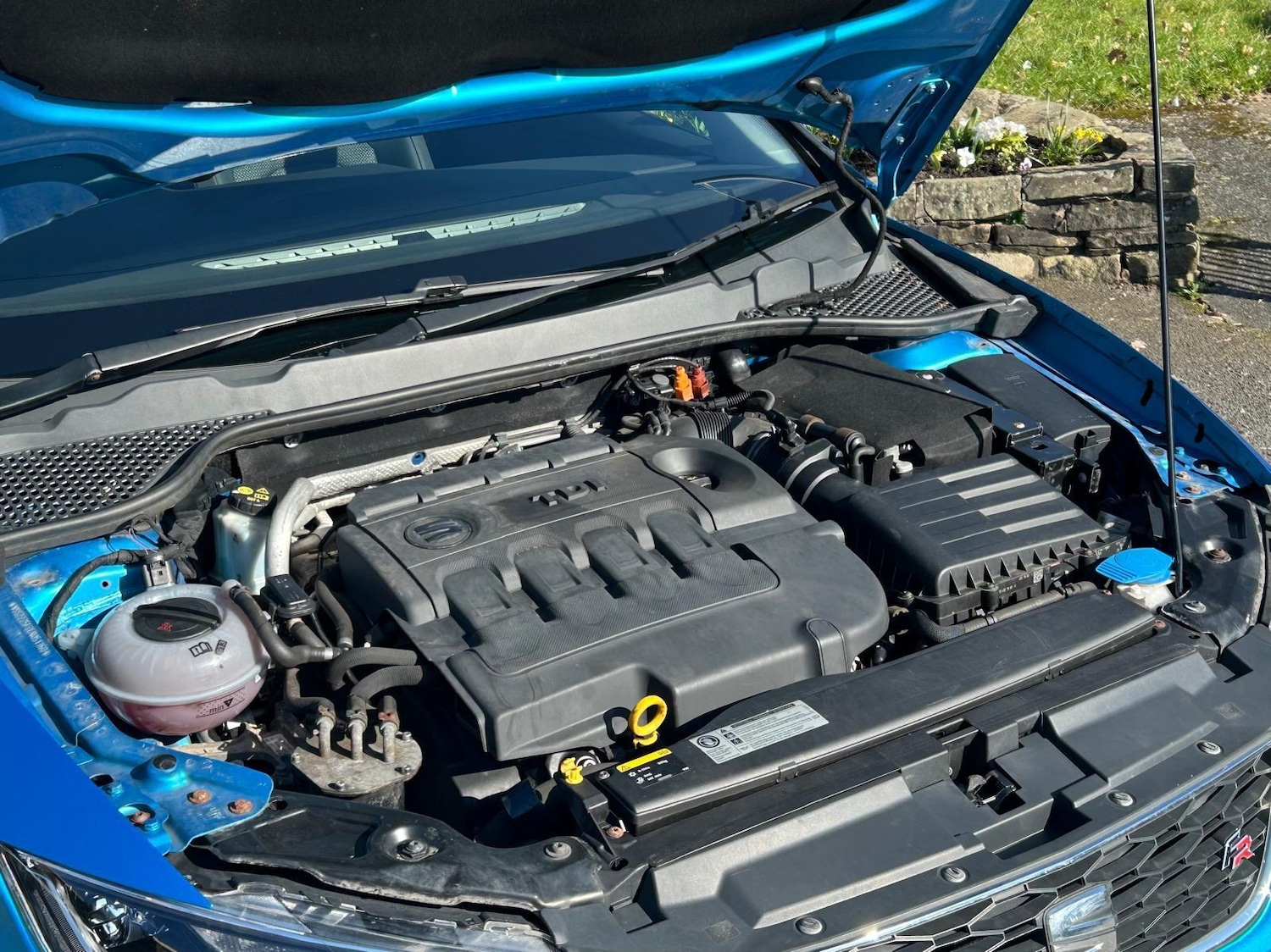 Used SEAT Leon for sale - 77783270: Photo 24