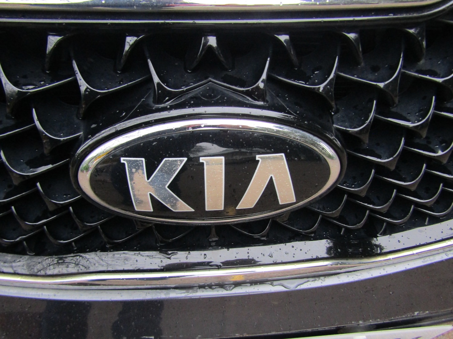 Used Kia Sportage 2014 for sale - 77716231: Photo 31