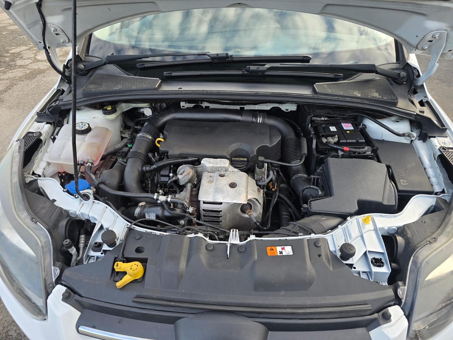 Used Ford Focus 2012 for sale - 77350445: Photo 33