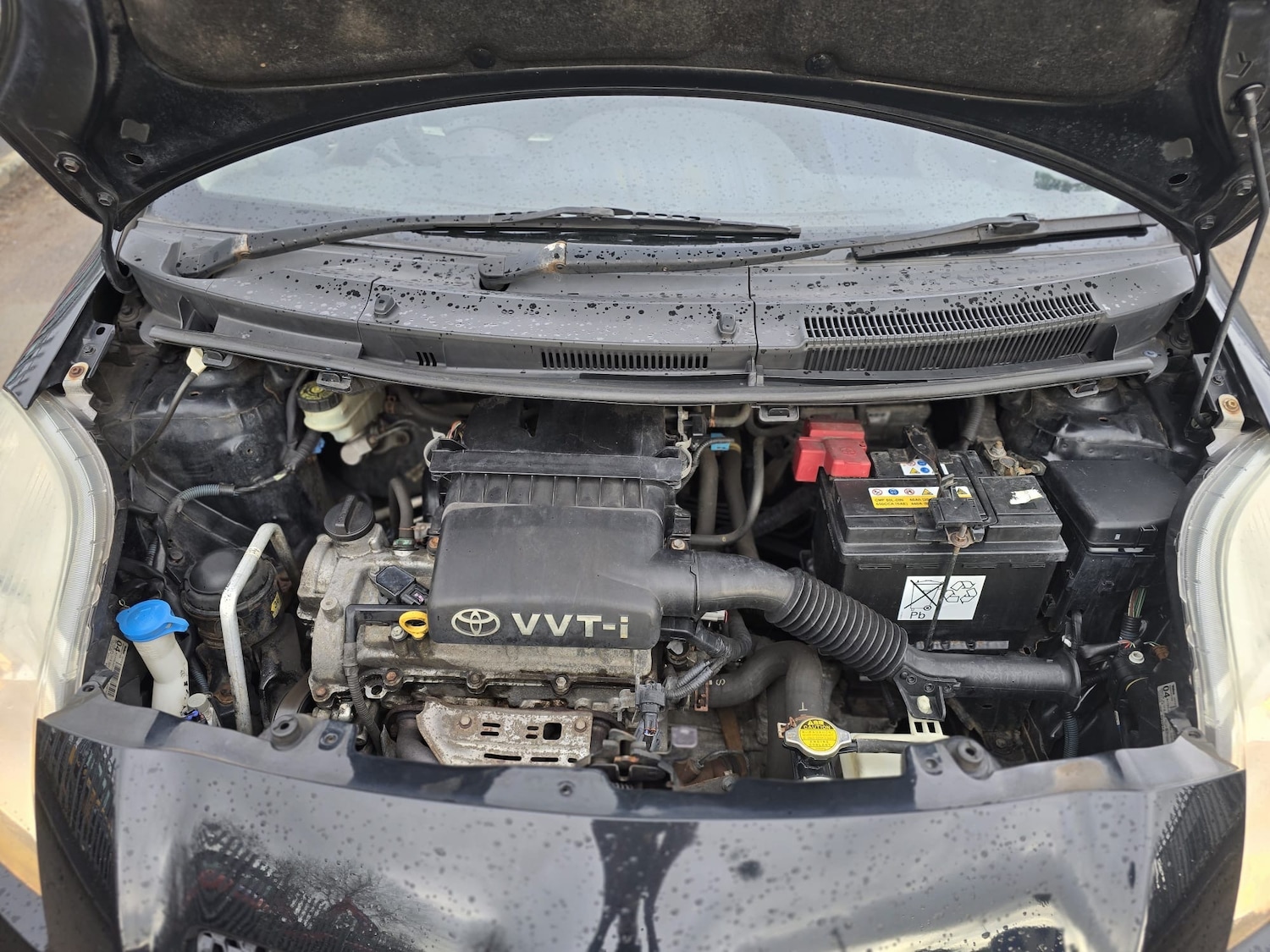 Used Toyota Yaris 2008 for sale - 77350448: Photo 16