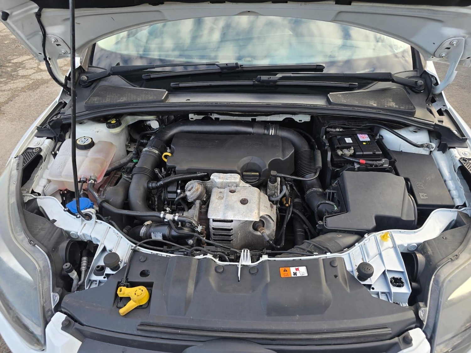 Used Ford Focus 2012 for sale - 76388076: Photo 34