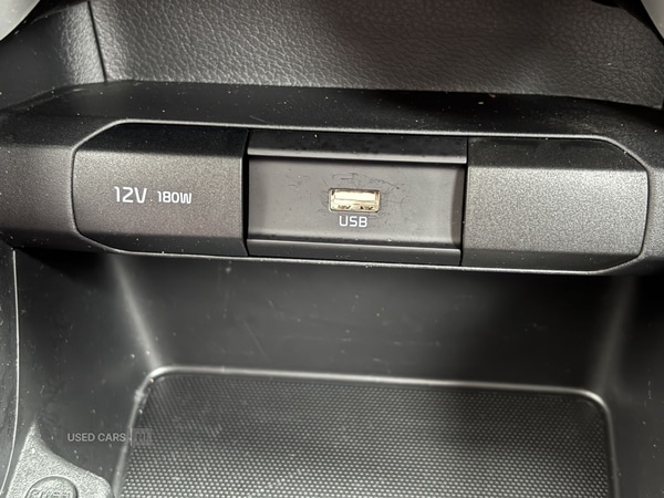 Used Kia Picanto 2024 for sale - 77994525: Photo 25