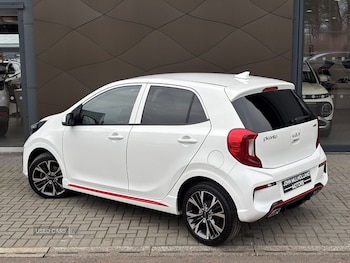 Used Kia Picanto 2024 for sale - 77994525: Photo