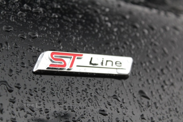 Used Ford Kuga 2022 for sale - 77479769: Photo 13