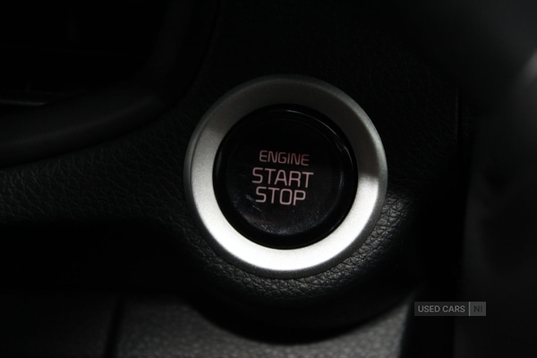 Used Kia Picanto 2025 for sale - 77697189: Photo 11