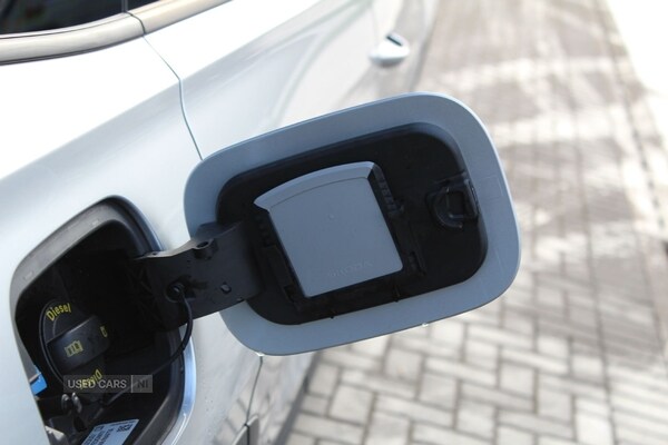 Used Skoda Kodiaq 2025 for sale - 77575565: Photo 39