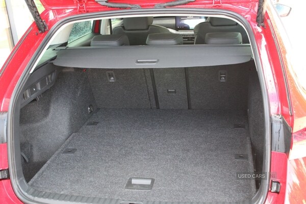 Used Skoda Octavia 2025 for sale - 77030349: Photo 14