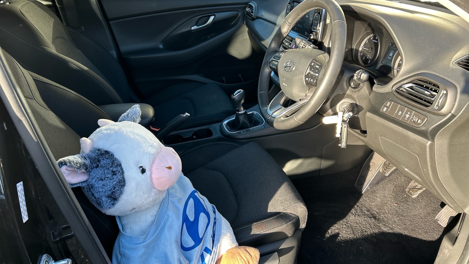 Used Hyundai i30 2021 for sale - 77300981: Photo 37