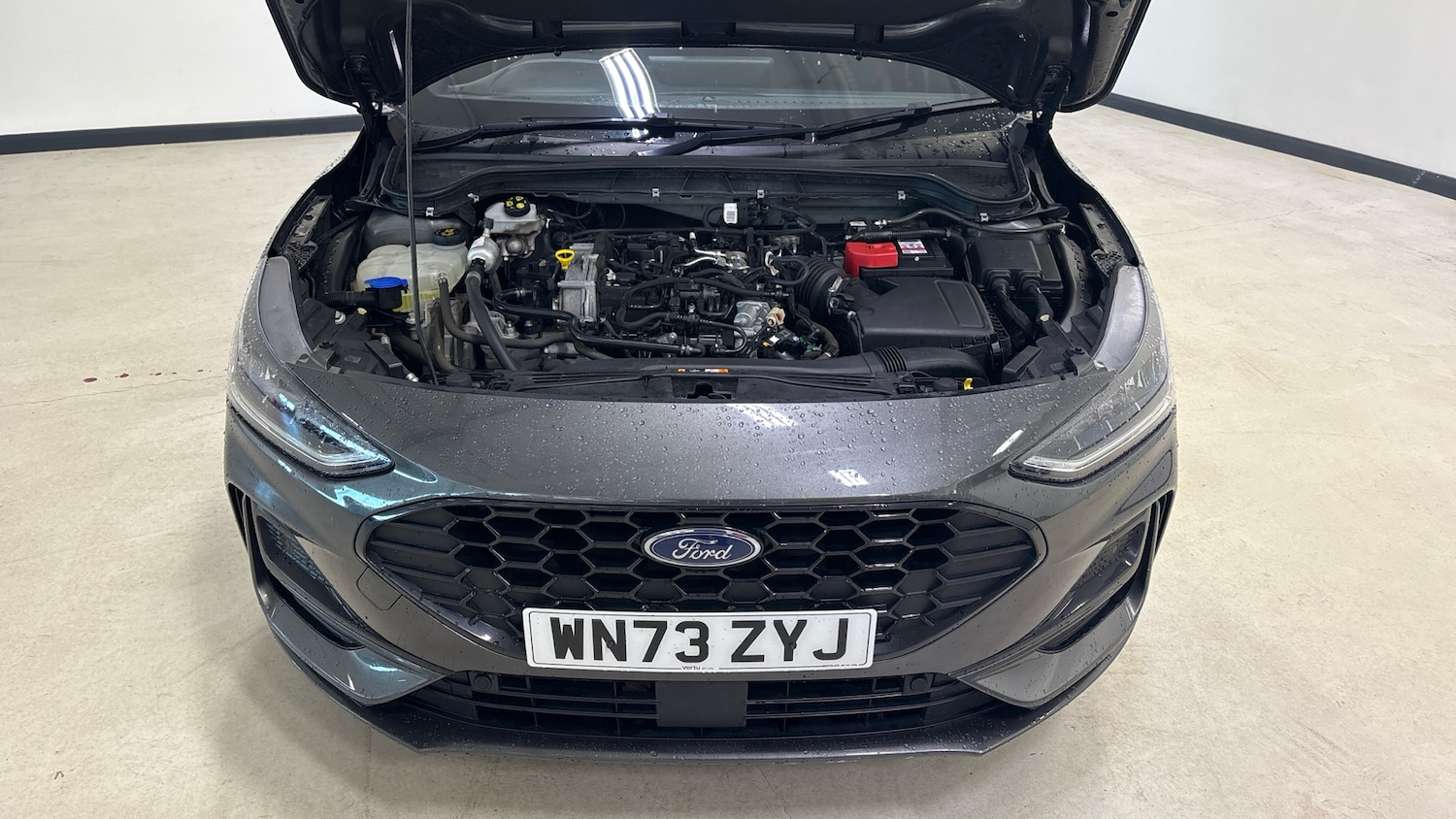 Used Ford Focus 2023 for sale - 77011660: Photo 8