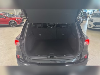 Used Ford Kuga 2023 for sale - 78992399: Photo