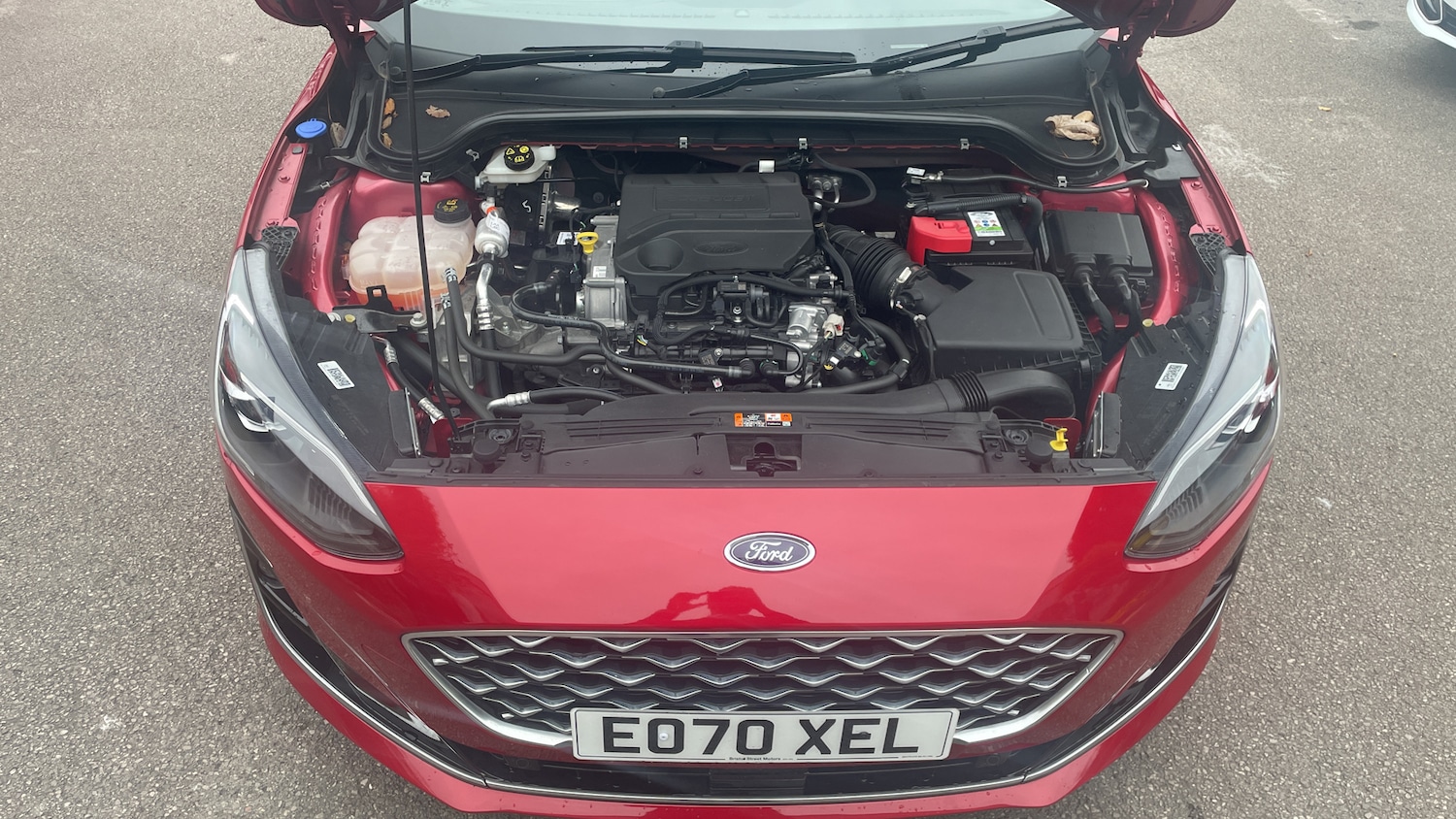 Used Ford Focus 2020 for sale - 77531779: Photo 8