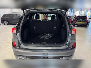 Used Ford Kuga 2023 for sale - 77758613: Photo