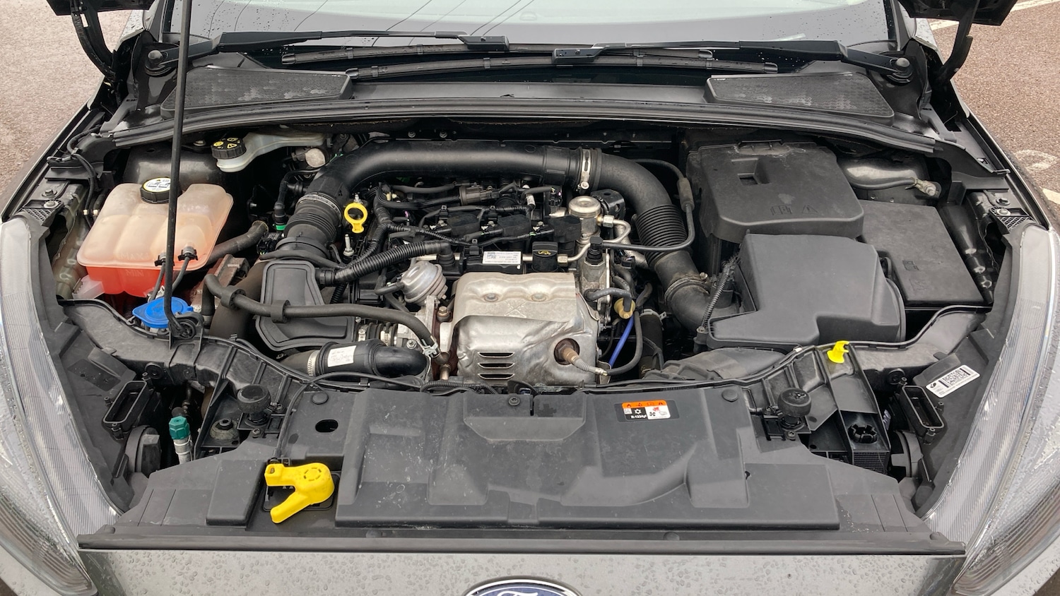 Used Ford Focus 2017 for sale - 77045605: Photo 8