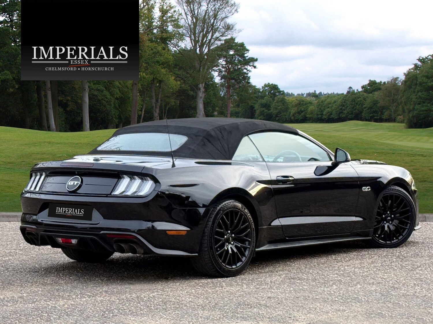 Used Ford Mustang for sale - 77909099: Photo 23