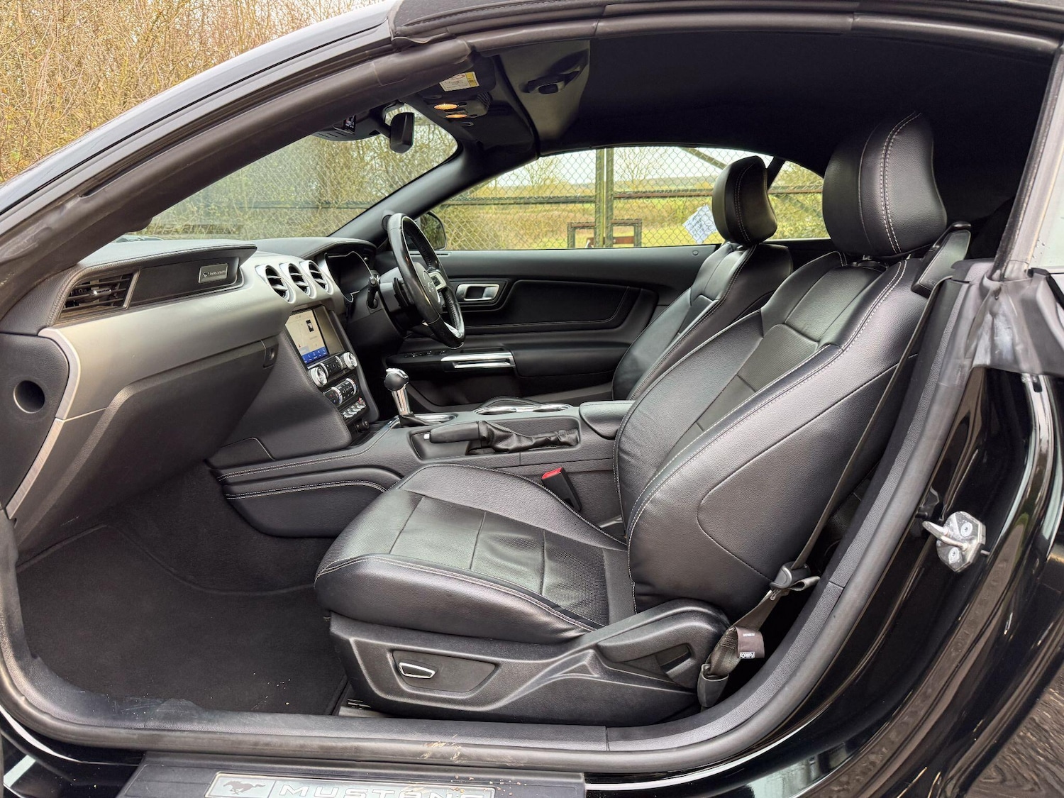 Used Ford Mustang for sale - 77909099: Photo 3