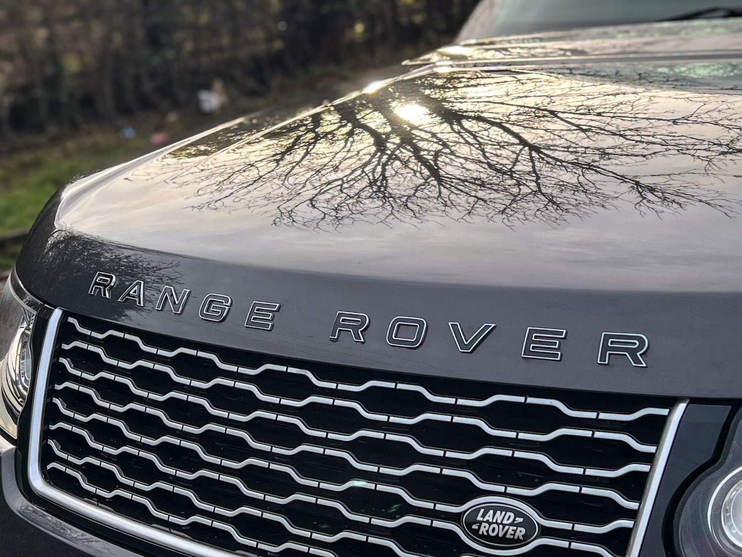 Used Land Rover Range Rover 2015 for sale - 76425271: Photo 9