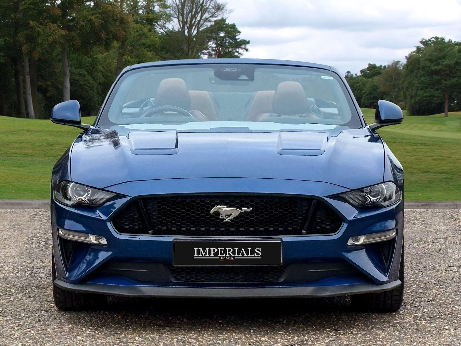 Used Ford Mustang 2023 for sale - 76597289: Photo 10